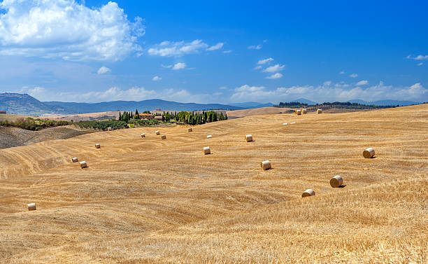 Campagna toscana con balle di fieno sulle colline